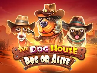 The Dog House - Dog or Alive