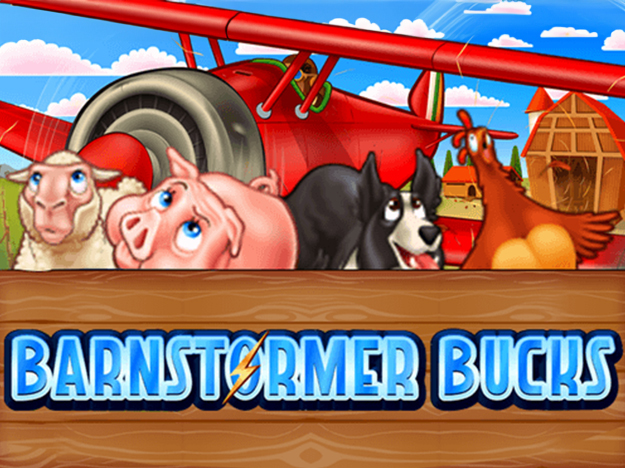 Barnstormer Bucks