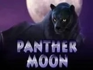 Panther Moon