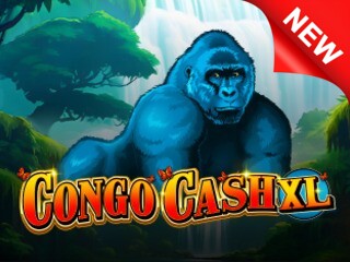 Congo Cash XL