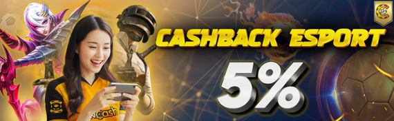 Cashback Esport 5%