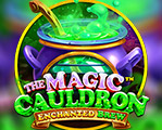 The Magic Cauldron